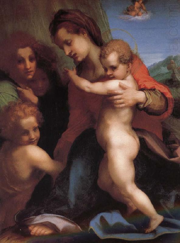 Andrea del Sarto The Virgin and Child with St. John childhood, as well as two angels china oil painting image